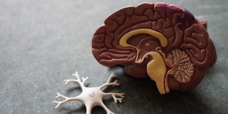 Acupuncture-like transcutaneous electrical nerve stimulation for patients with irritable bowel syndrome: Pilot mixed-methods study.