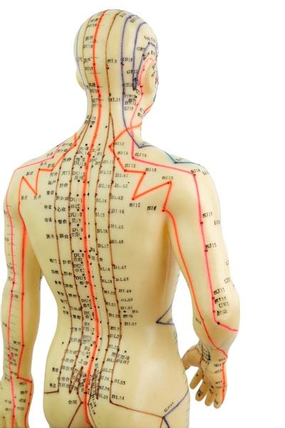 Investigating The Bidirectional Relationship Between Low Back Pain, Hip Pain, Knee Pain, And Gait Ab