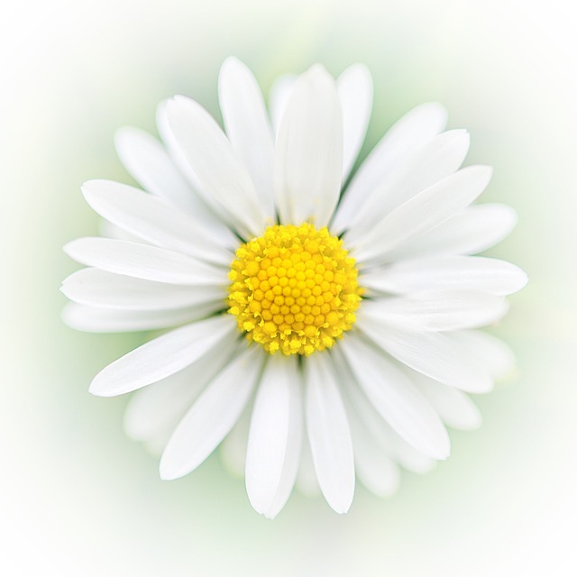 Influence of Emotional Disorders on the Efficacy of Acupuncture in Refractory Diarrhea-Predominant Irritable Bowel Syndrome: A Secondary Analysis of a Randomized Controlled Trial.
