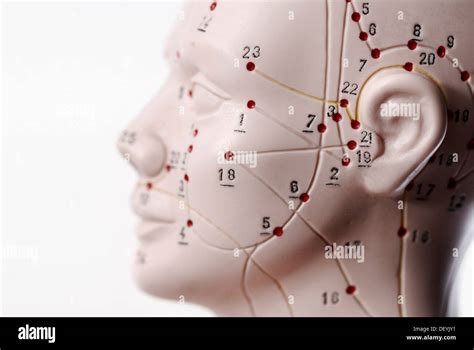 Acupuncture for chronic insomnia with mild cognitive impairment: protocol for a randomized controlled trial.