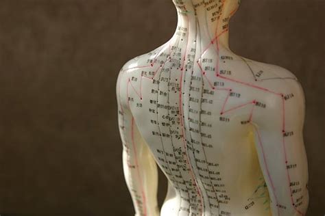 Metabolomic insights into migraine: mechanisms and biomarkers from in vivo and clinical studies.