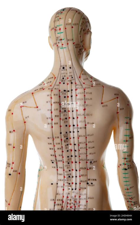 Non-pharmacological Interventions for Pain-Related Anxiety and Distress in Emergency Department Patients: A Systematic Review With Narrative Synthesis.