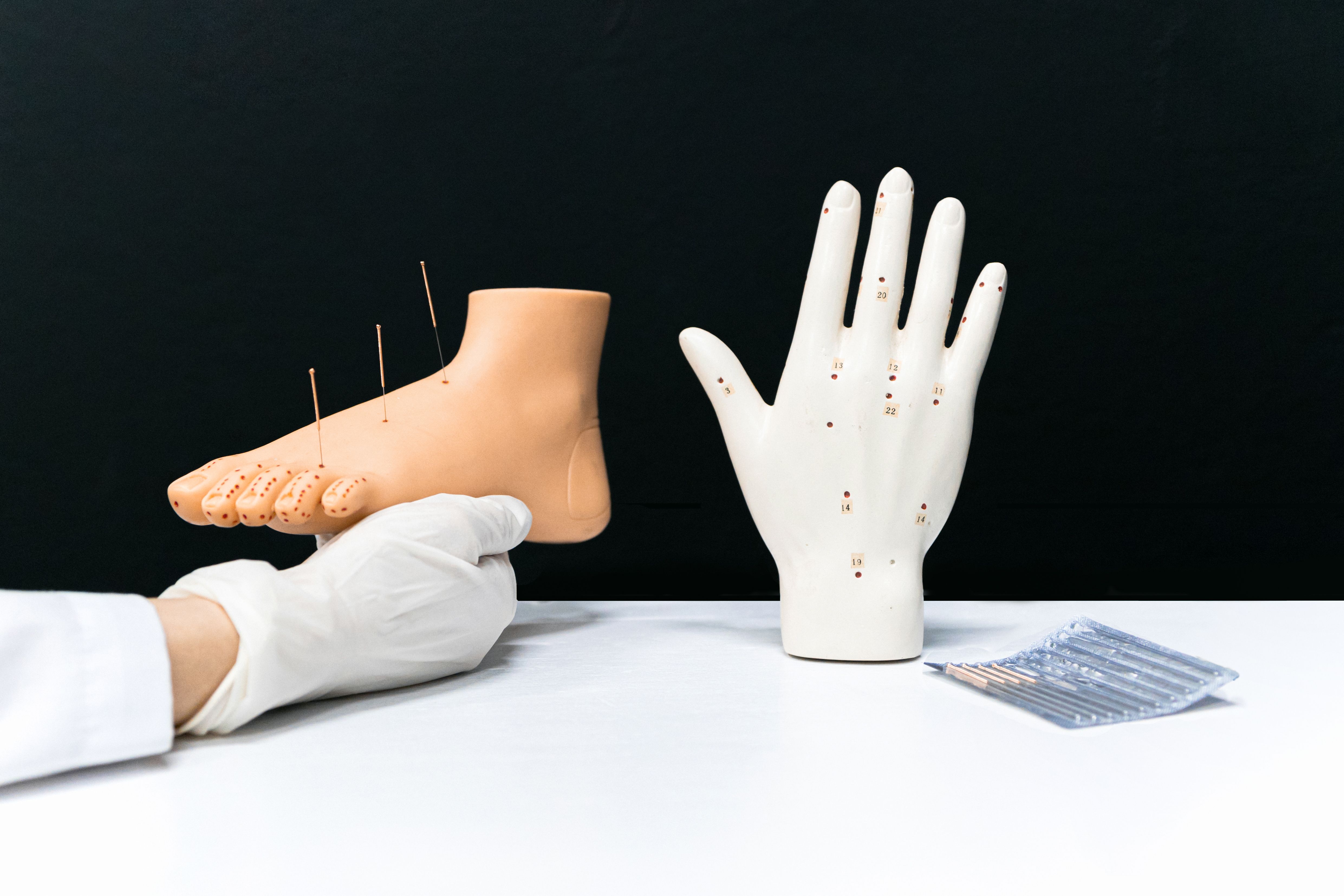 Electroacupuncture Improves Nitroglycerin-Induced Generalized Hypersensitivity Associated with a Migraine-Like State and Downregulates the CXCL13/CXCR5 Axis in the Trigeminal Ganglion.