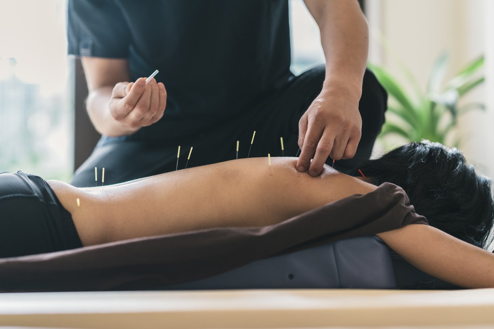 Primary Care Clinician and Patient Knowledge, Interest, and Use of Integrative Treatment Options for Chronic Low Back Pain Management.