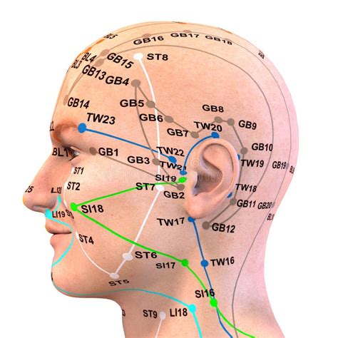 Acupuncture combined with repetitive transcranial magnetic stimulation vs repetitive transcranial magnetic stimulation alone for recovery of hemiparesis after ischemic stroke: A systematic review and meta-analysis.
