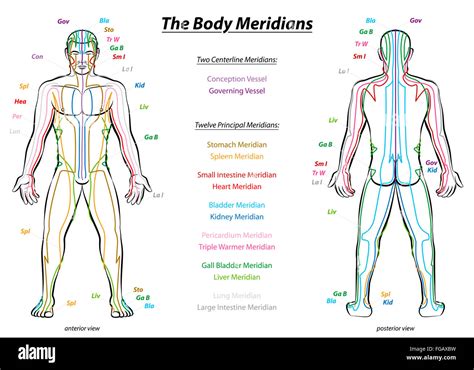 Effectiveness and multidimensional mechanisms of close-to-bone needling in knee osteoarthritis: a randomized controlled trial.